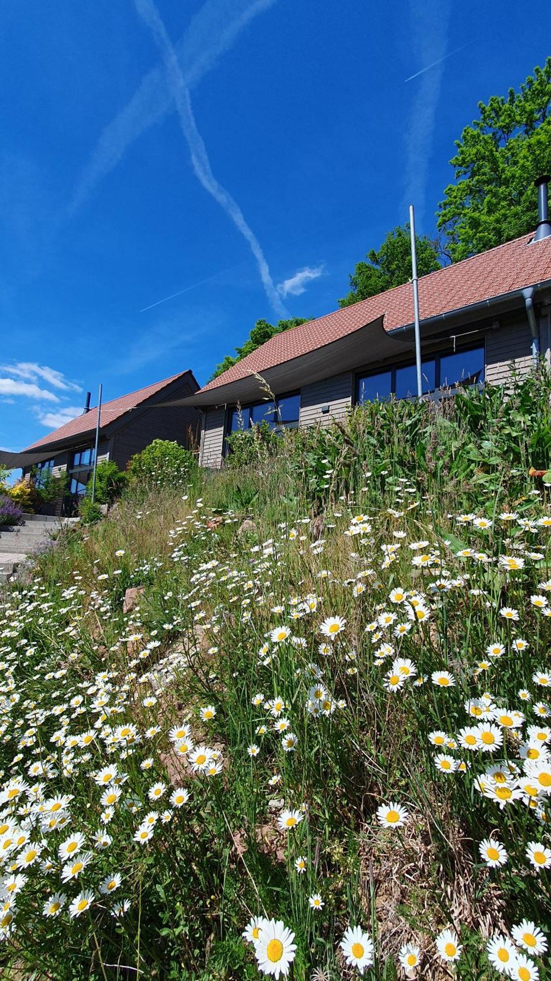 Odenwald-Lodge Mit Infrarotsauna Und E-Ladestation "Haus Purpur" Reichelsheim Exterior foto